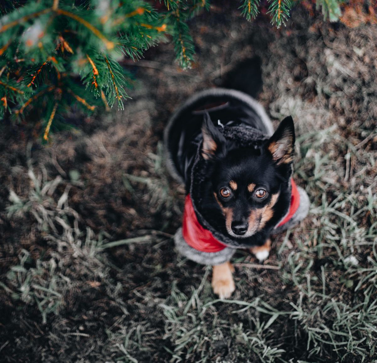 Fysioterapeuttimme terveiset