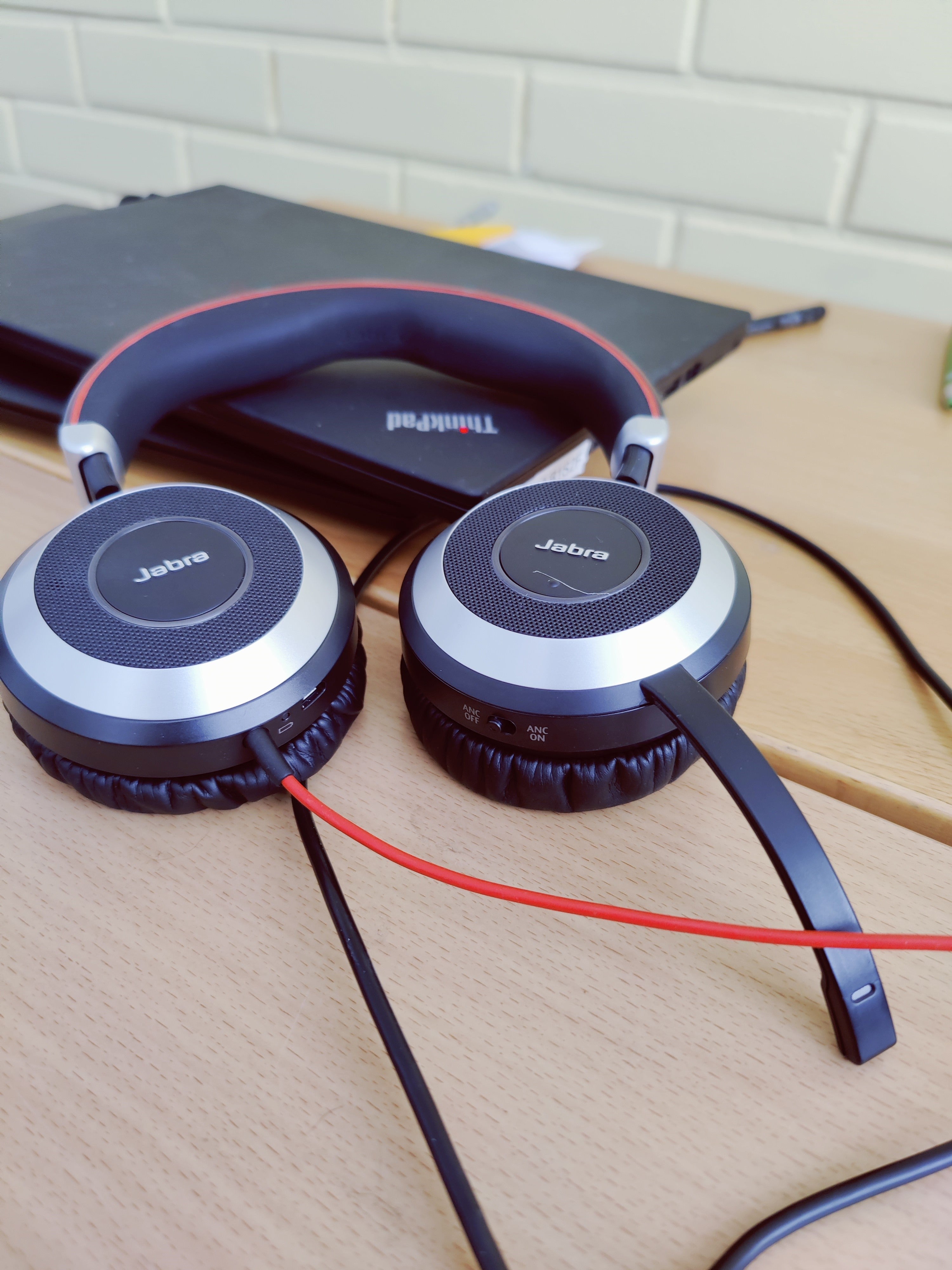 Eläinlääkäri videolla kotiin