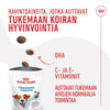 Tarjous! Royal Canin Training Treats koirille | 110g