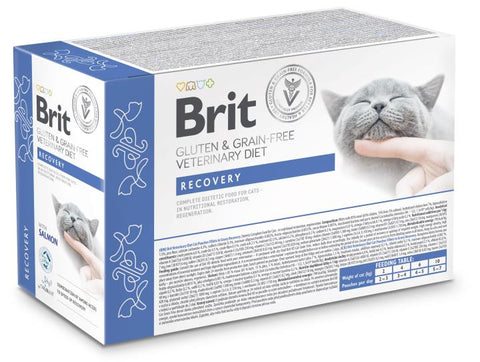 Päiväys: 25.10.2025 Brit Recovery märkäruoka kissoille | lohi | 12x85g