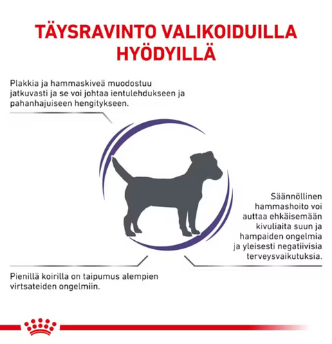 Royal Canin Health Dental kuivaruoka Small Dog pienille koirille | 3.5kg