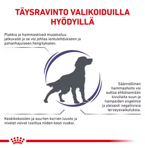 Royal Canin Health Dental kuivaruoka koirille | alk. 6kg