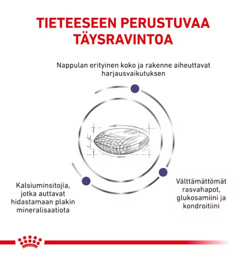 Royal Canin Health Dental kuivaruoka koirille | alk. 6kg
