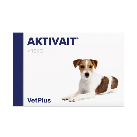 Aktivait pienille koirille | 60kpl
