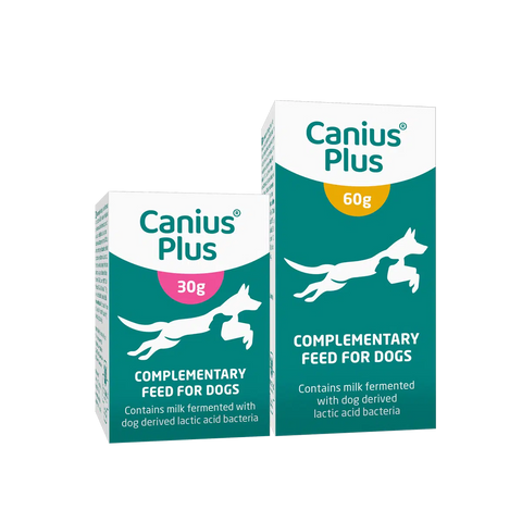 Canius Plus jauhe koirille | alk. 30g