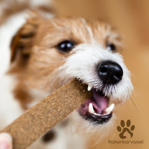 Kaikenkarvaiset Lampaan lihalastu | 100g