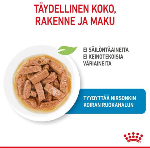Tarjous! Royal Canin Maxi Puppy Gravy koiranpennuille | 10 x 140g