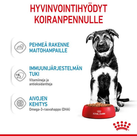 Tarjous! Royal Canin Maxi Puppy Gravy koiranpennuille | 10 x 140g