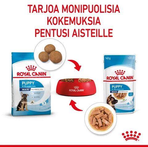 Tarjous! Royal Canin Maxi Puppy Gravy koiranpennuille | 10 x 140g