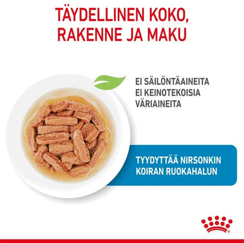 Tarjous! Royal Canin Medium Puppy Gravy koiranpennuille | 10 x 140g