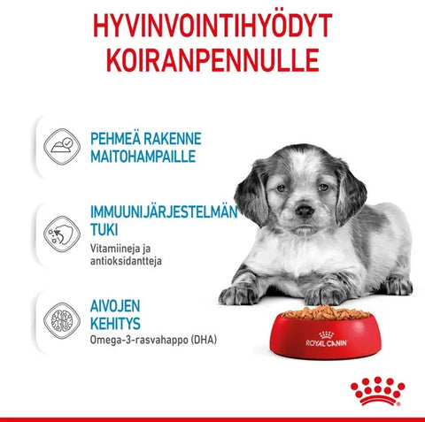 Tarjous! Royal Canin Medium Puppy Gravy koiranpennuille | 10 x 140g