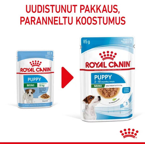 Tarjous! Royal Canin Mini Puppy Gravy koiranpennuille | 12 x 85g
