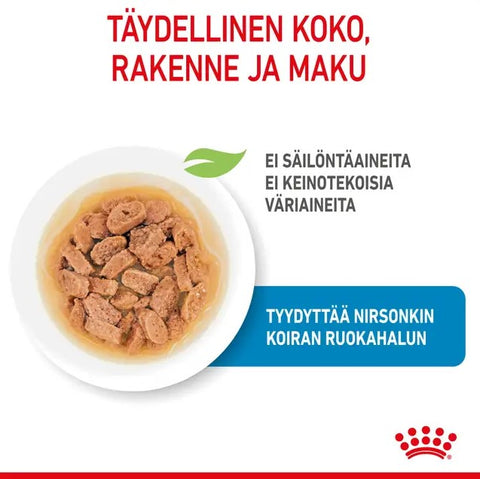 Tarjous! Royal Canin Mini Puppy Gravy koiranpennuille | 12 x 85g