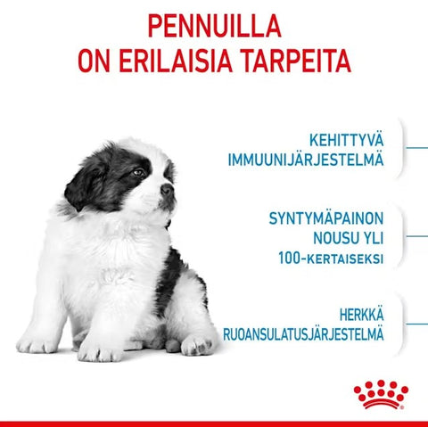 Tarjous! Royal Canin Giant Puppy koiranpennuille | 15kg