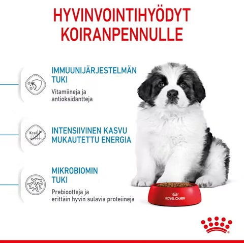 Tarjous! Royal Canin Giant Puppy koiranpennuille | 15kg