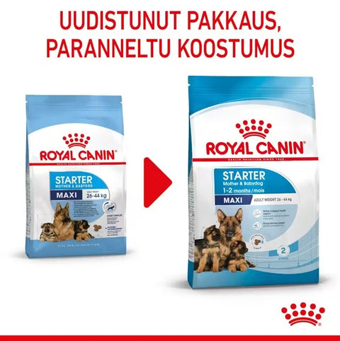 Tarjous! Royal Canin Maxi Starter lopputiineyden ja imetyksen aikana koirille | 15kg