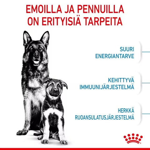 Tarjous! Royal Canin Maxi Starter lopputiineyden ja imetyksen aikana koirille | 15kg