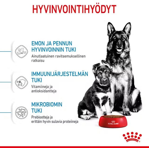 Tarjous! Royal Canin Maxi Starter lopputiineyden ja imetyksen aikana koirille | 15kg