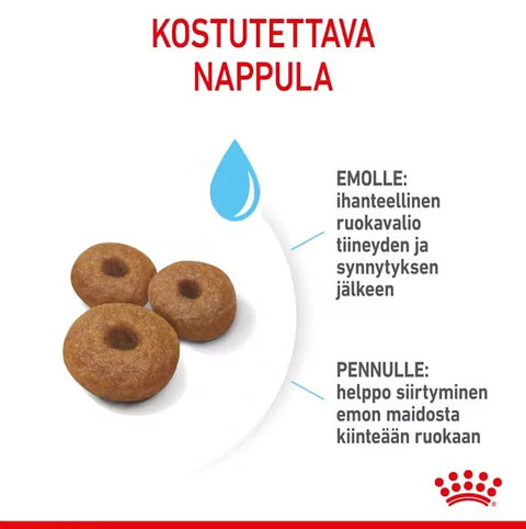 Tarjous! Royal Canin Maxi Starter lopputiineyden ja imetyksen aikana koirille | 15kg
