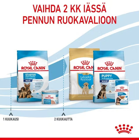 Tarjous! Royal Canin Maxi Starter lopputiineyden ja imetyksen aikana koirille | 15kg