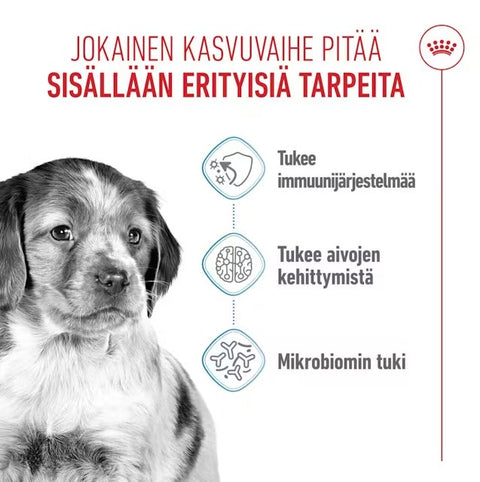 Tarjous! Royal Canin Medium puppy koiranpennuille | 10kg