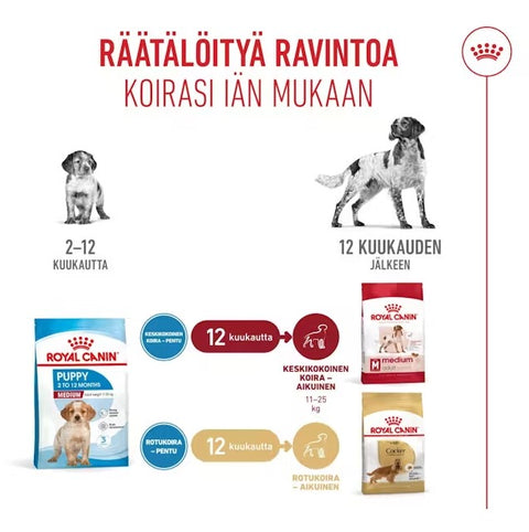 Tarjous! Royal Canin Medium puppy koiranpennuille | 10kg