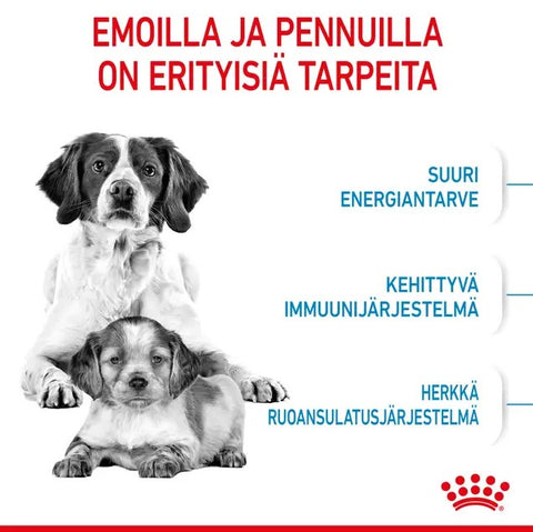 Tarjous! Royal Canin Medium Starter lopputiineyden ja imetyksen aikana koirille | 15kg