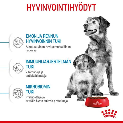 Tarjous! Royal Canin Medium Starter lopputiineyden ja imetyksen aikana koirille | 15kg