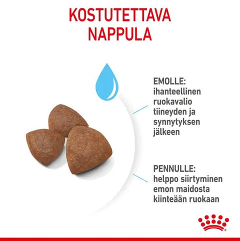 Tarjous! Royal Canin Medium Starter lopputiineyden ja imetyksen aikana koirille | 15kg