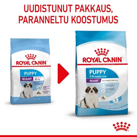 Tarjous! Royal Canin Giant Puppy koiranpennuille | 3.5kg