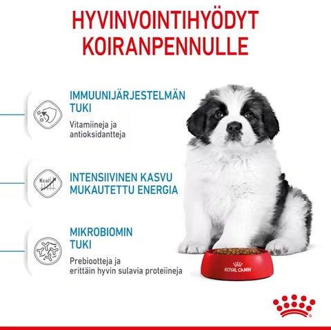 Tarjous! Royal Canin Giant Puppy koiranpennuille | 3.5kg