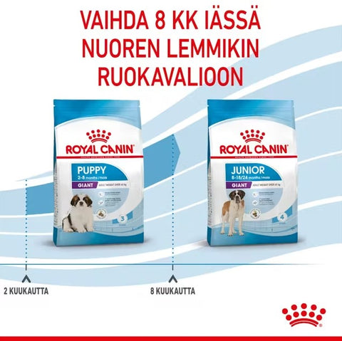 Tarjous! Royal Canin Giant Puppy koiranpennuille | 3.5kg