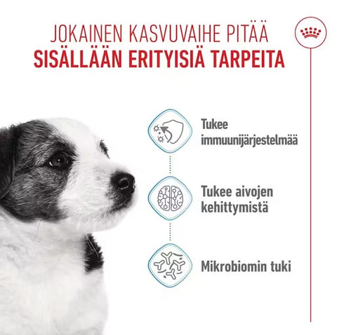 Tarjous! Royal Canin Mini Puppy koiranpennuille | 800g