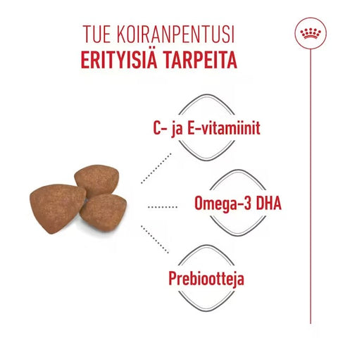 Tarjous! Royal Canin Mini Puppy koiranpennuille | 800g
