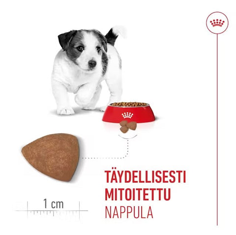 Tarjous! Royal Canin Mini Puppy koiranpennuille | 800g