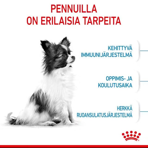 Tarjous! Royal Canin X-Small Puppy koiranpennuille | 500g