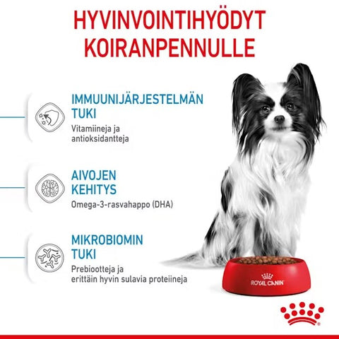 Tarjous! Royal Canin X-Small Puppy koiranpennuille | 500g