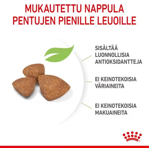 Tarjous! Royal Canin X-Small Puppy koiranpennuille | 500g
