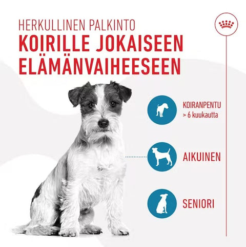 Royal Canin Training Treats koirille | 110g