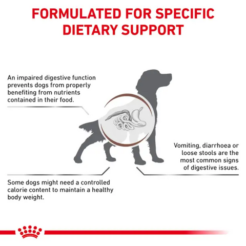 Royal Canin Gastrointestinal Moderate calorie kuivaruoka koirille | alk. 2kg