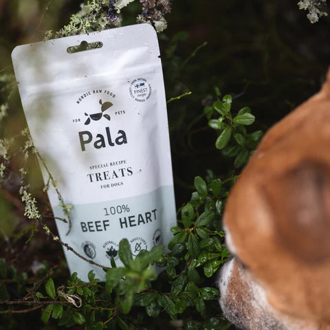 Pala Treats Naudan sydän koirille ja kissoille | 100g
