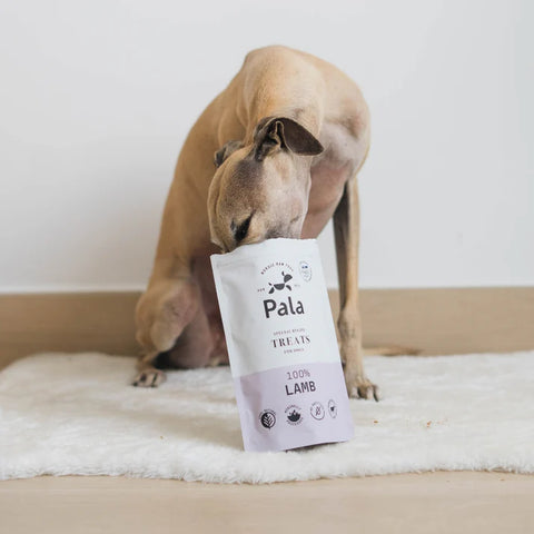 Pala Treats Lammas koirille ja kissoille | 100g