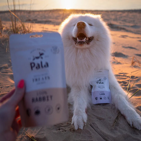 Pala Treats Jänis koirille ja kissoille | 100g