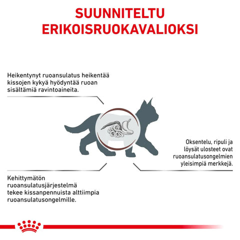 Royal Canin Gastrointestinal Kitten kuivaruoka kissanpennuille | alk. 400g