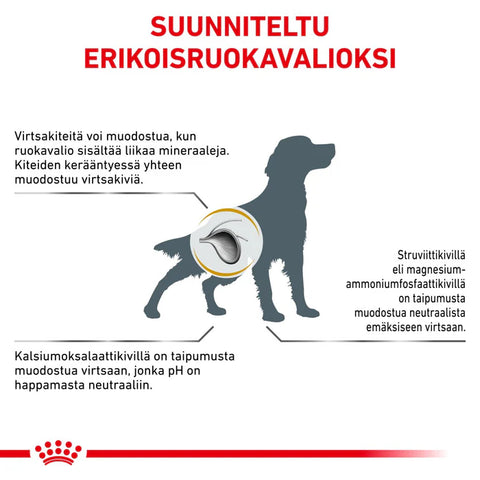 Royal Canin Urinary S/O kuivaruoka koirille | alk. 2kg
