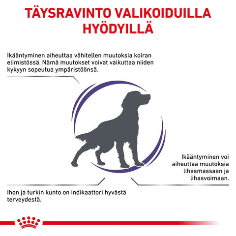Royal Canin Health Mature Consult kuivaruoka ikääntyville koirille | 10kg