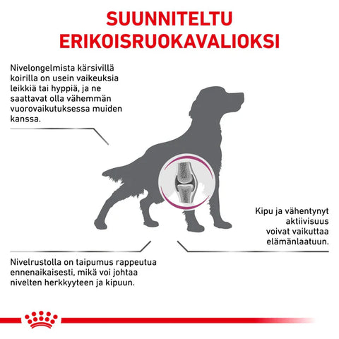 Royal Canin Vital Mobility Support kuivaruoka koirille | alk. 7kg