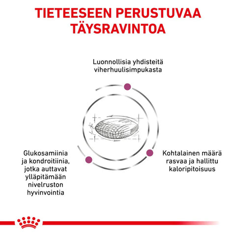 Royal Canin Vital Mobility Support kuivaruoka koirille | alk. 7kg