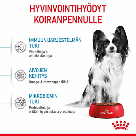 Royal Canin X-Small Puppy | alk. 0.5kg