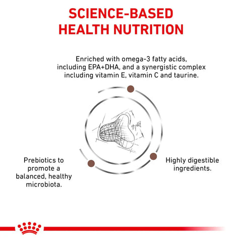 Royal Canin Gastrointestinal Fibre Response kuivaruoka kissoille | alk. 400g